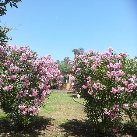 Villa Olia Tortolì Kültér fotó