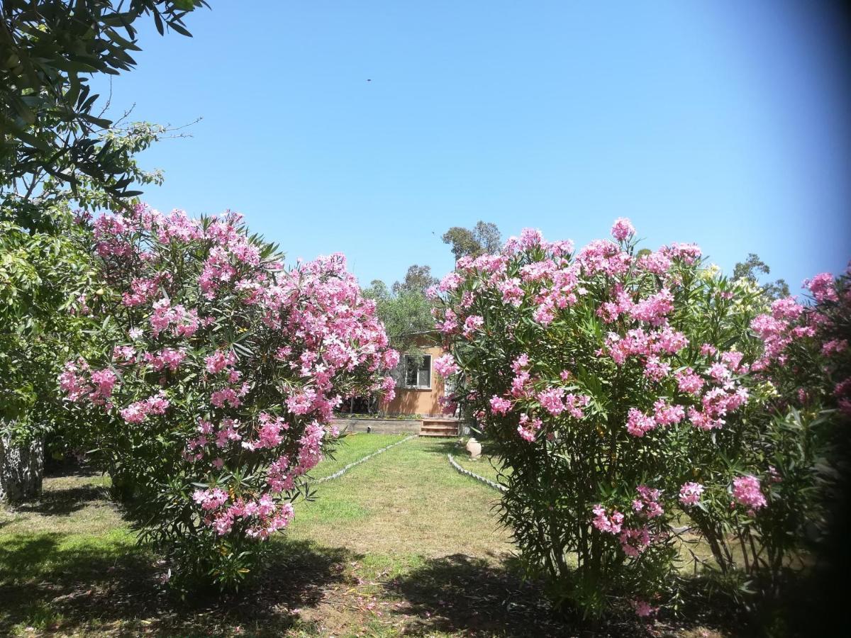 Villa Olia Tortolì Kültér fotó